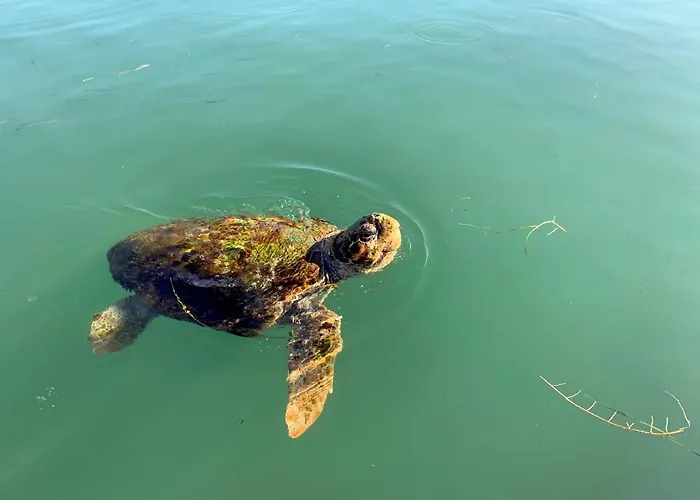 Argostοli Bay Apartments Aparthotel Argostoli (Kefalonia)