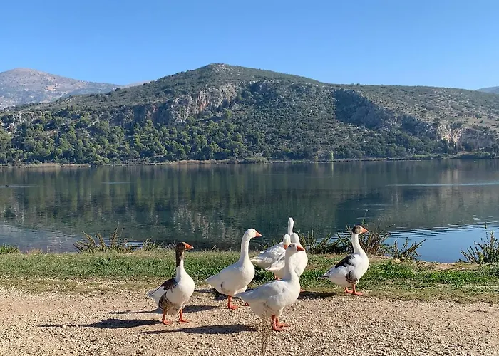 Argostοli Bay Apartments Aparthotel