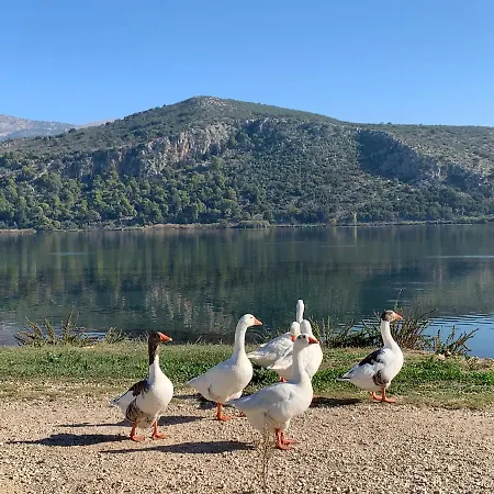 Rouchotas Lägenhetshotell